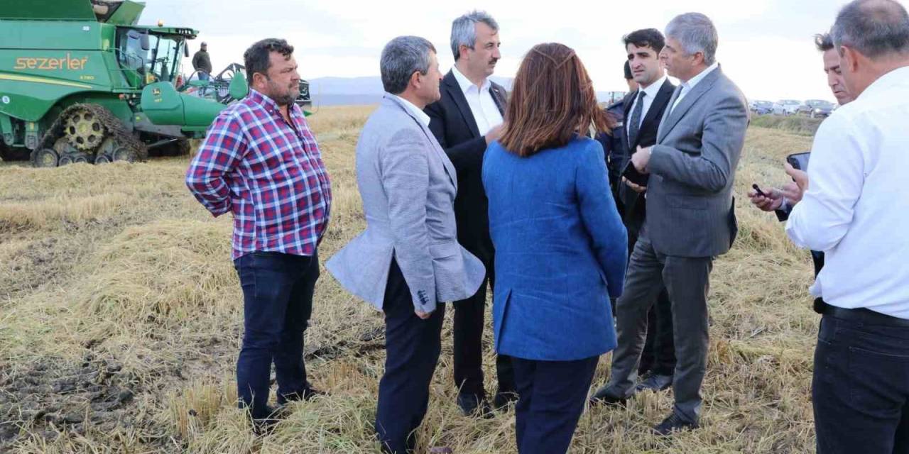 Edirne’de ’beyaz Altın’ın Hasadı Başladı