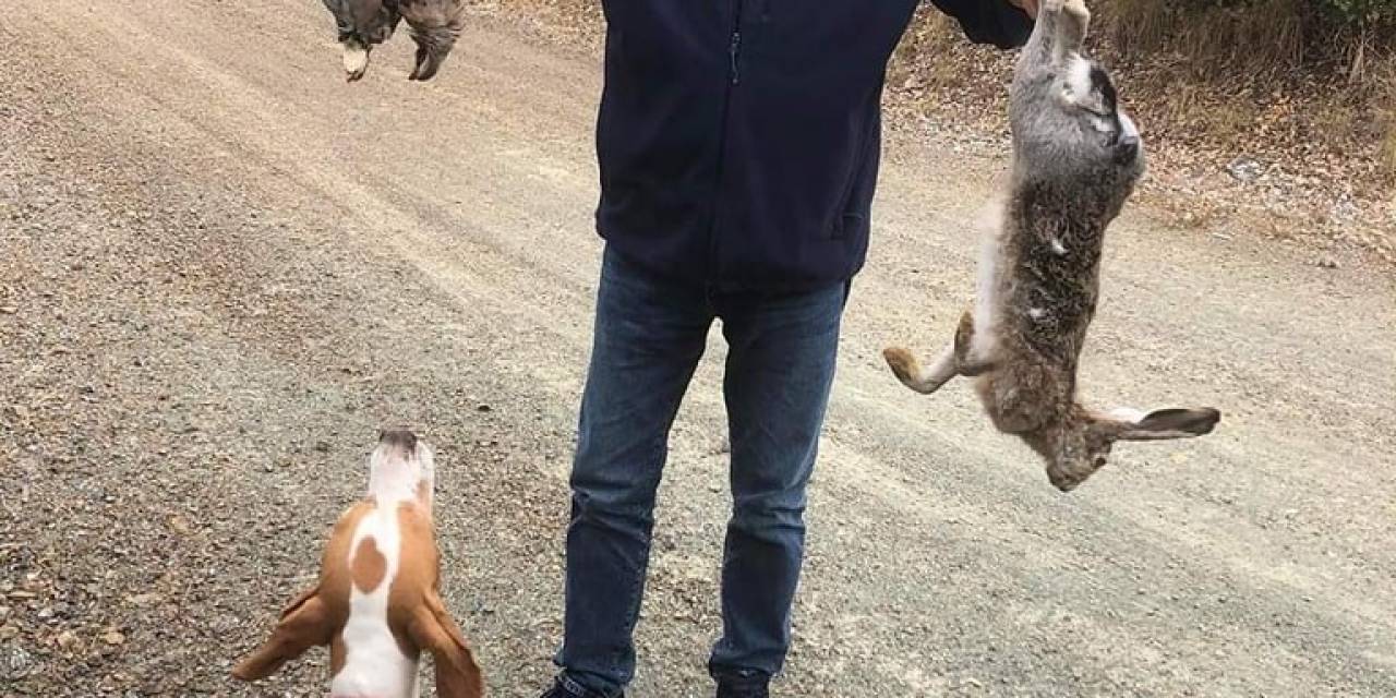 Belediye Başkanı, Avladığı Tavşan Ve Kekliklerle Poz Verdi