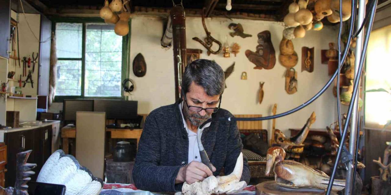 Bahçesini Kendi İçin Yaşam Alanına Çevirdi: Doğada Kemikleşmiş Odunlara Çeşitli Şekiller Veriyor