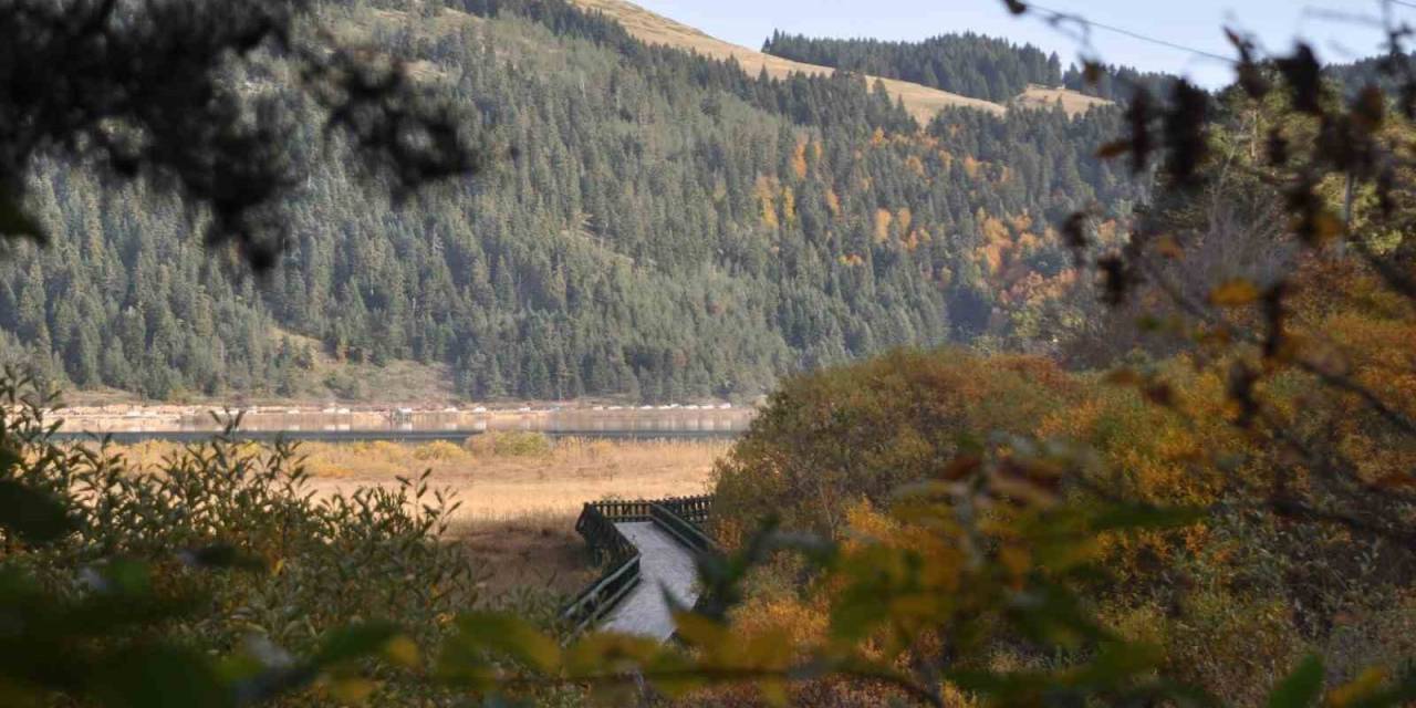 Abant’ta Hazan Mevsimi Güzelliği