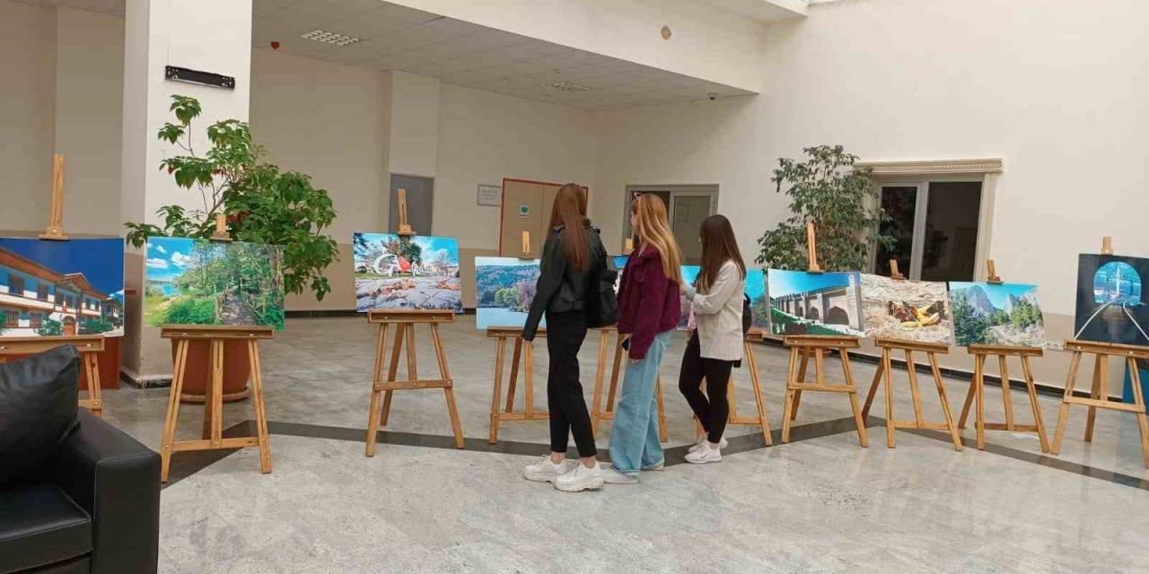 Bilecik İl Kültür Ve Turizm Müdürlüğü’nün Resim Ve Fotoğraf Sergisi Beklenen İlgiyi Görmedi