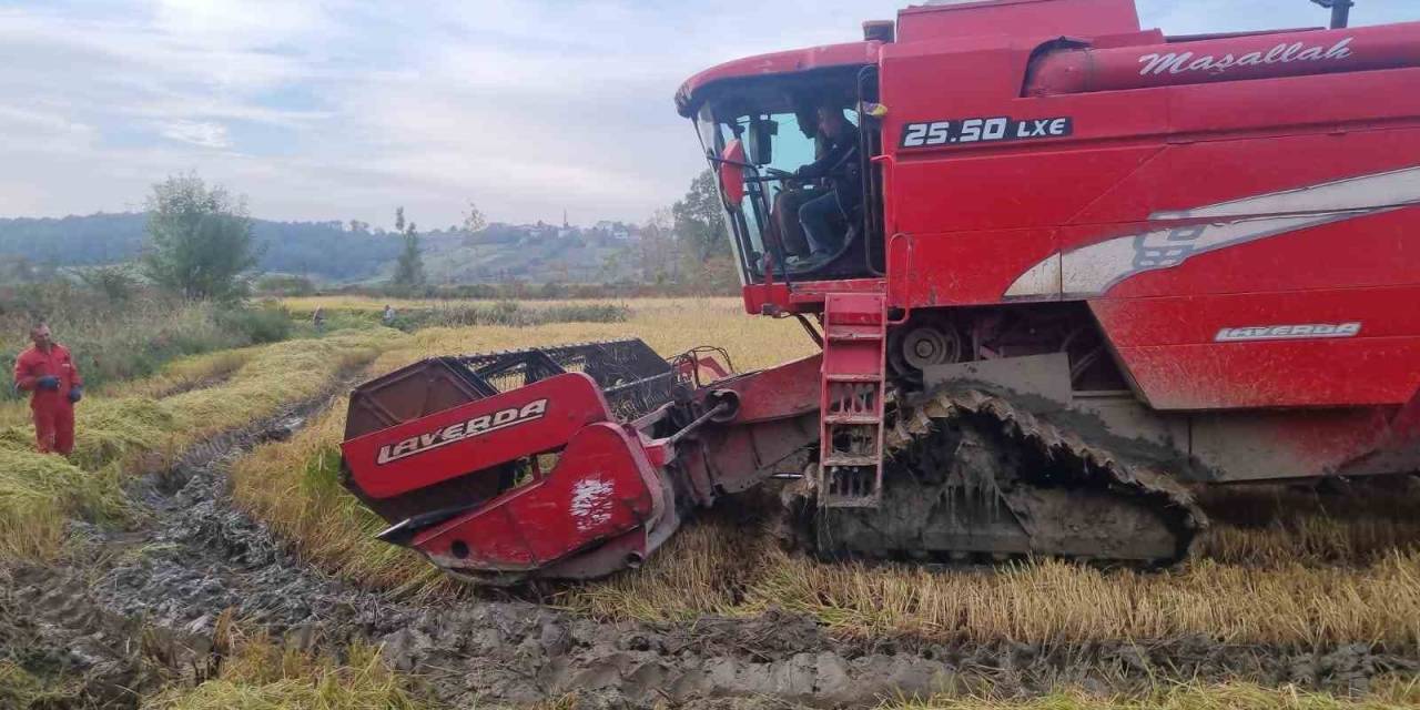 Sinop’ta Çeltik Hasadı Başladı
