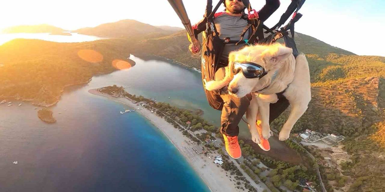 Köpeğiyle Yamaç Paraşütü Atlayışı Yaptı