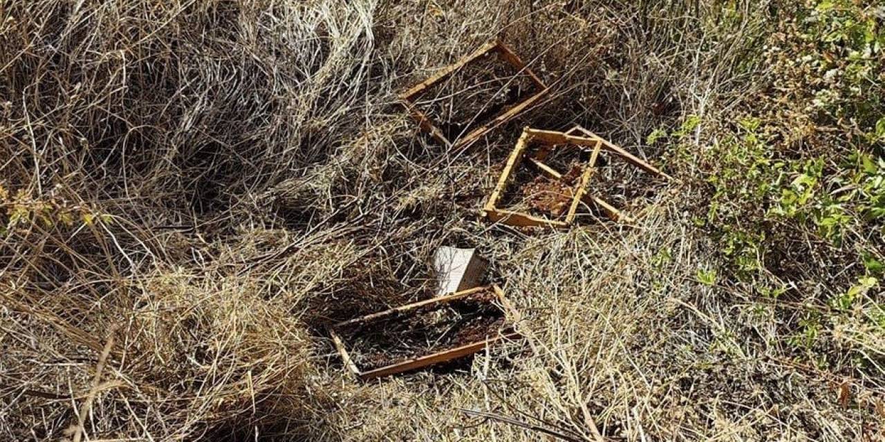 Kastamonu’da Bağ Evine Gelen Ayılar, 10 Adet Arı Kovanını Parçalayarak Balları Yedi