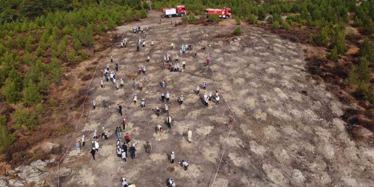 Kazdağları’na 300 Bin Fidan...