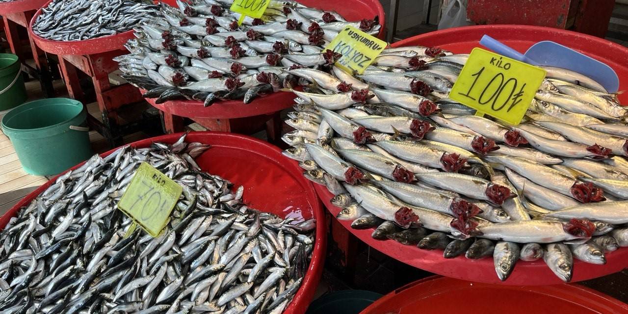 Bandırma’da Hamsi Bolluğu Yaşanıyor
