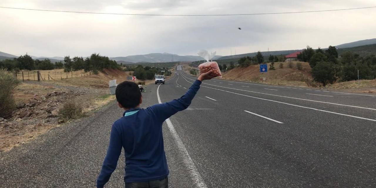 Okul Harçlıklarını Çıkarmak İçin Yol Kenarında ‘Alıç’ Satıyorlar