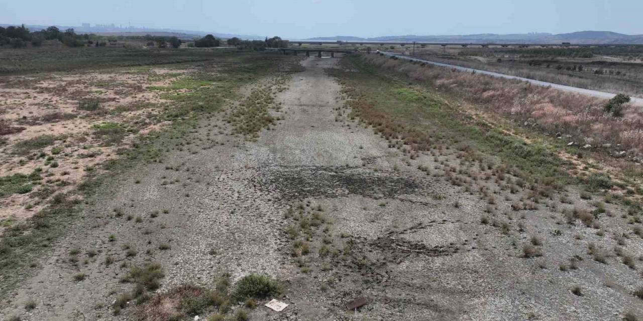 Büyükçekmece Gölünde Kuraklık Tehlikesi