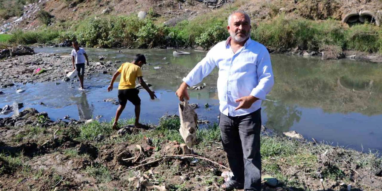 At Kemikleri, Ölü Hayvanlar Ve Lağım Suyu Arasında Kurbağa Avı
