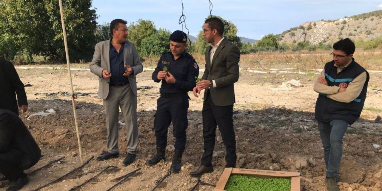 Üreticilere Fide Desteği Devam Ediyor