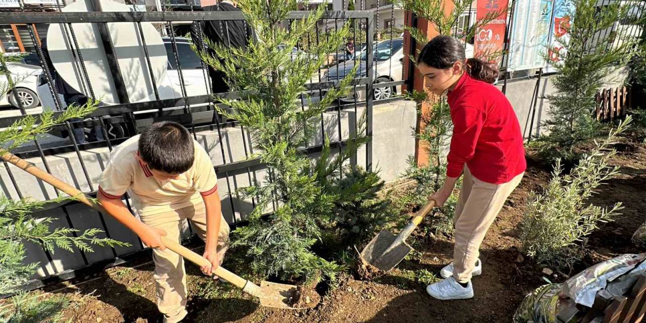 Düzceli 100 Şehit İçin 100 Fidan Dikildi