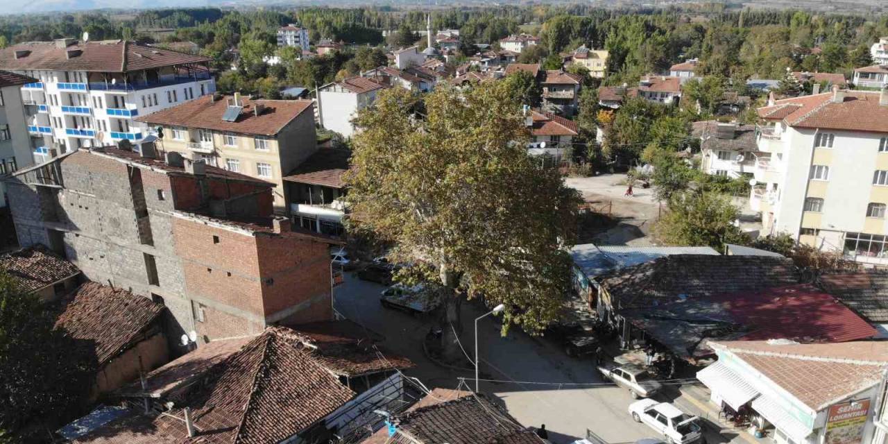 Geçmişte Darağacı Olarak Kullanıldı, Günümüzde İlçenin Simgesi Oldu
