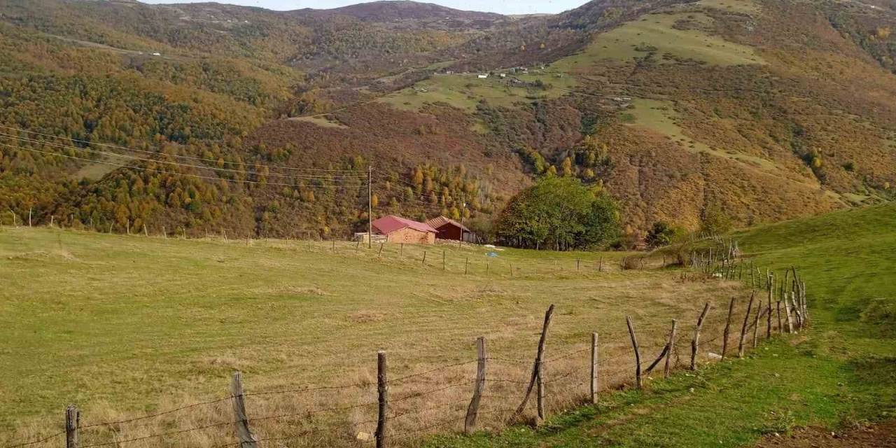 Ordu’nun Yaylalarında Sonbahar Güzelliği