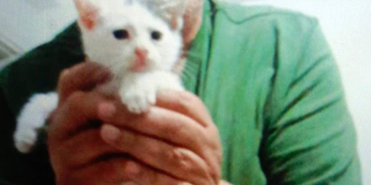 Beylikdüzü’nde Kedilere Mama Vermek İsterken Kuyuya Düşerek Öldü