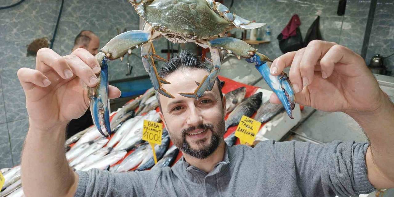 Balıkçıların Korkulu Rüyası ‘Mavi Yengeç’ 1 Haftadır Karadeniz’de Görülüyor