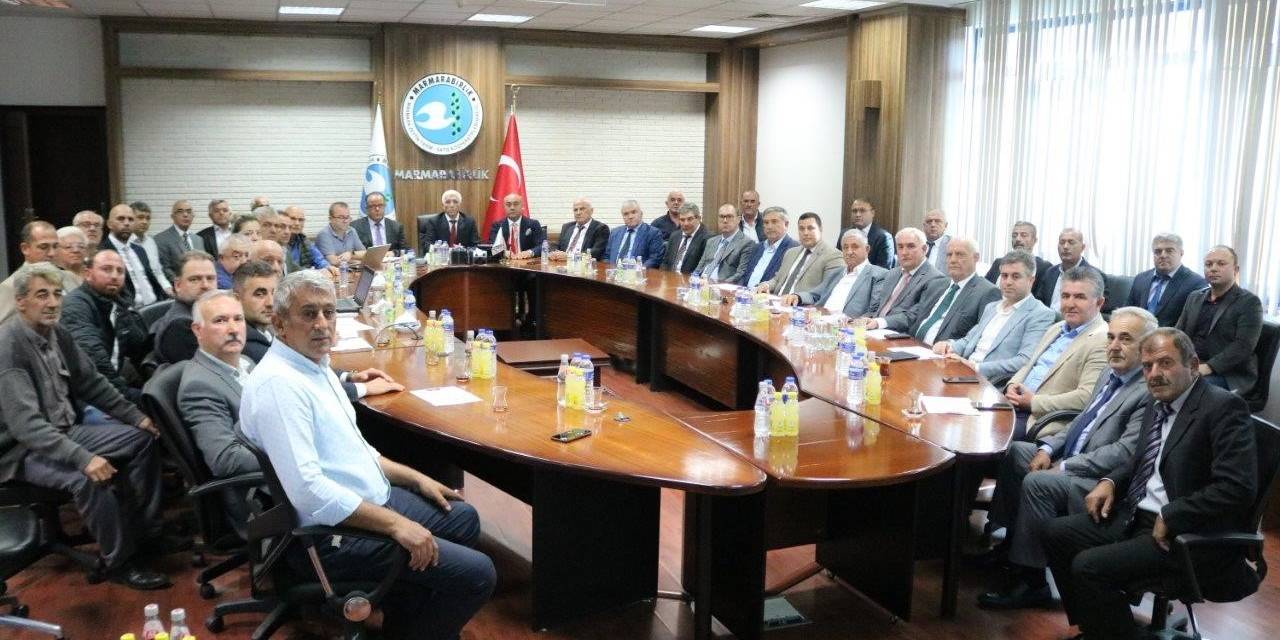 Zeytin Alım Tavan Fiyat 110 Lira, Taban Fiyat 47 Lira