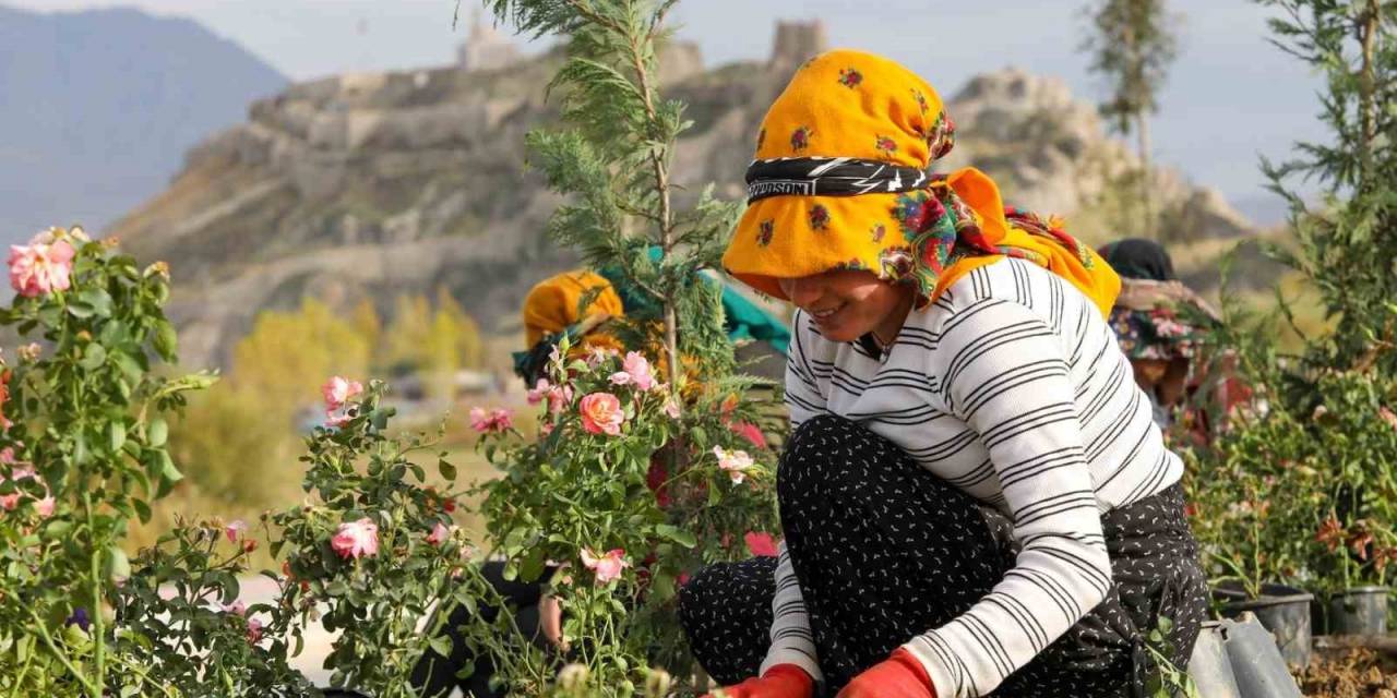Sahil Yolu’nda Peyzaj Ve Ağaçlandırma Çalışmaları Sürüyor