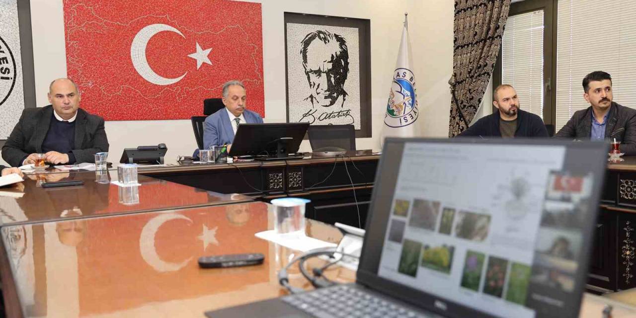 Talas Millet Bahçesi ’karbon Yutak Alanı’ Olacak