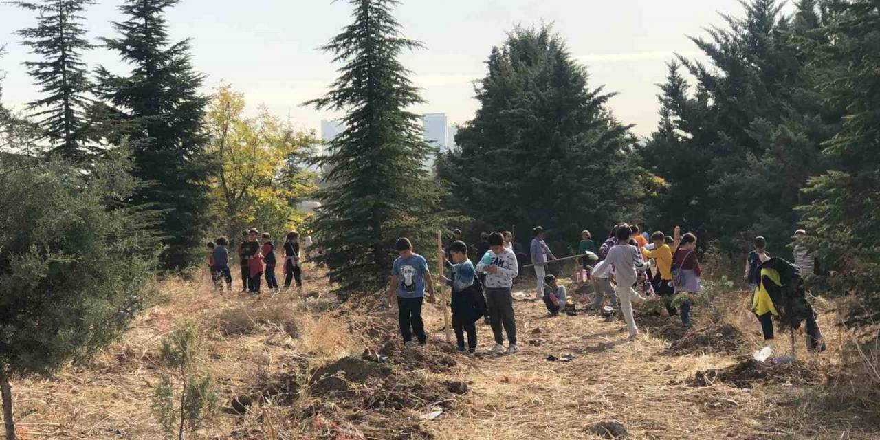 Cumhuriyet’in 100. Yılında 100 Bin Fidan Etkinliği