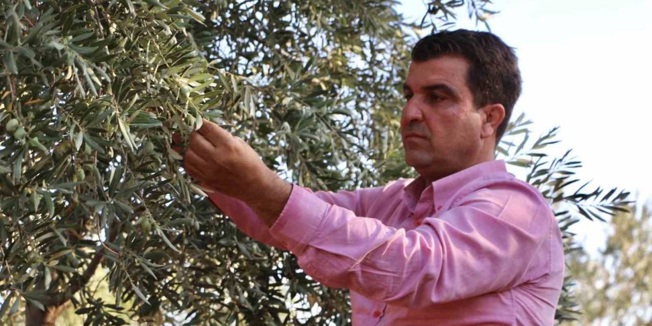 Silopili Çiftçi, Bölgede İlk Yer Altı Damlama Sistemini Kurdu