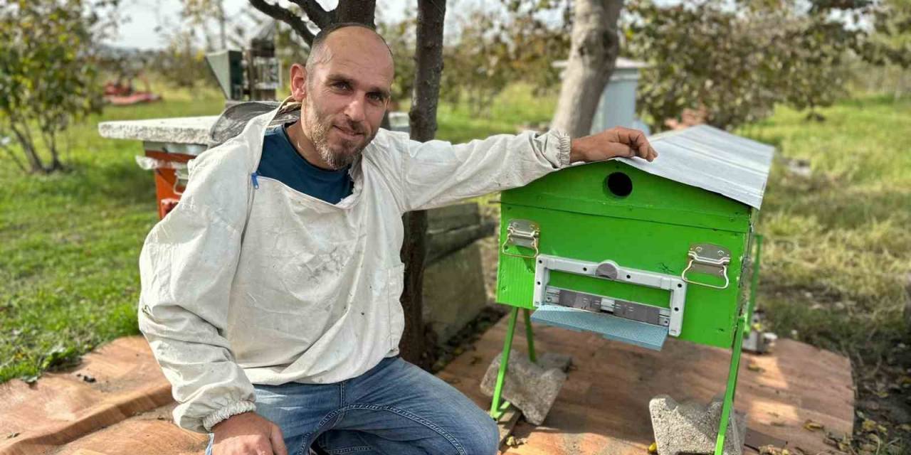 İlginç Arı Kovanları: Tabut, Cansız Manken, Varil