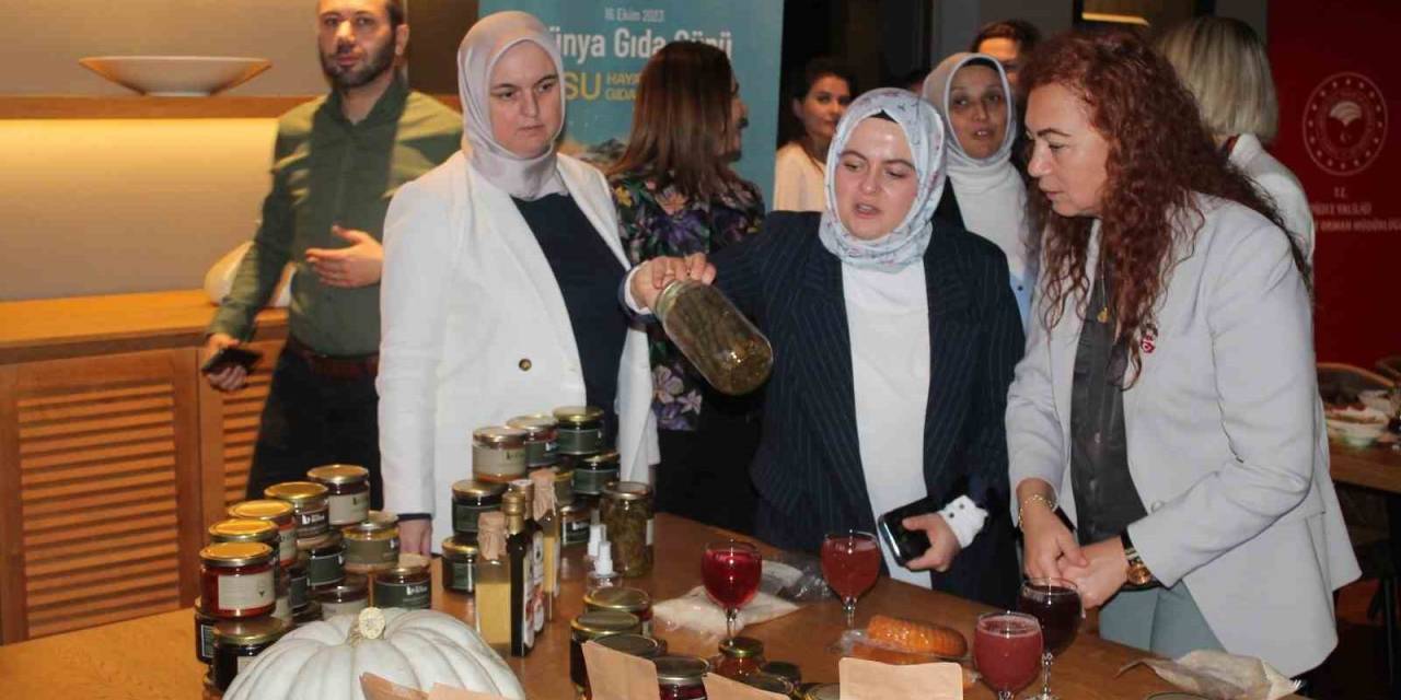 Fao’dan Düzce’de İnceleme