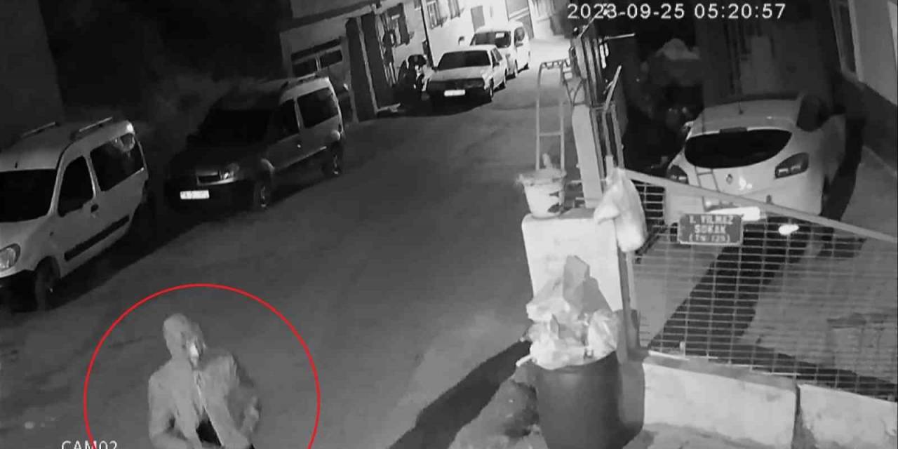 Oto Faresini Burnu Yakalattı