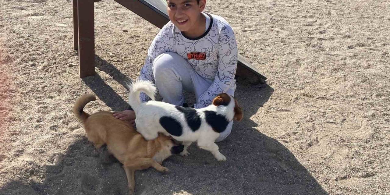 Zihinsel Engelli Çocuklara At İle Terapi