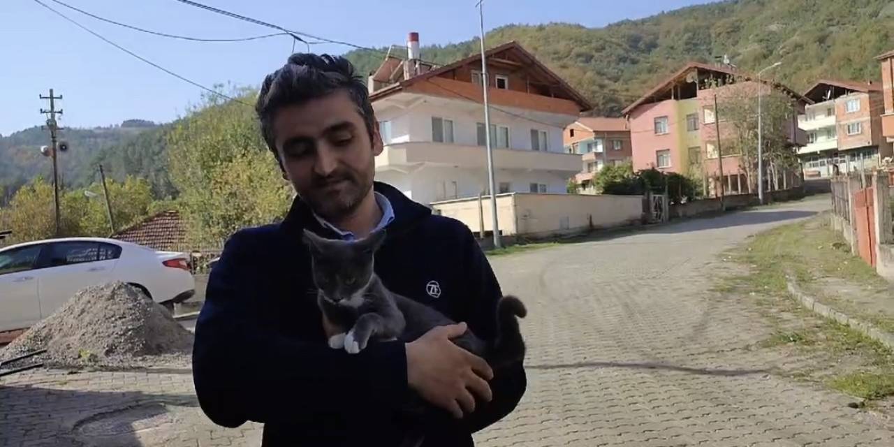 Kedinin Fare İle Oyunu İzleyenleri Gülümsetti