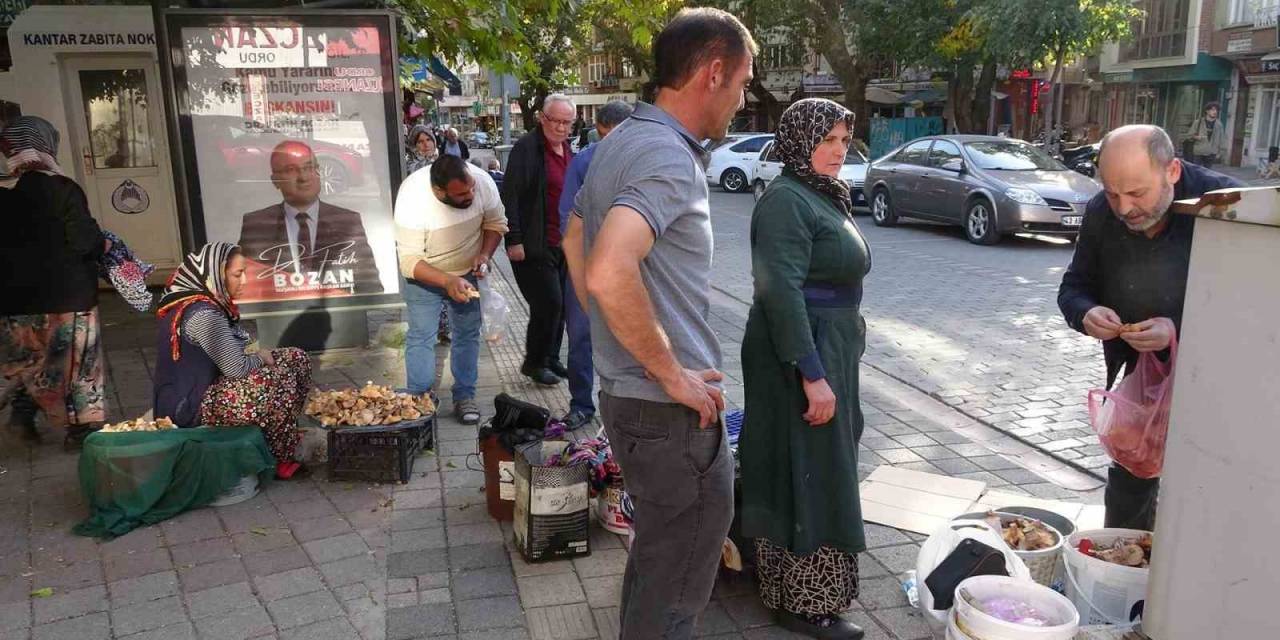 ’toplaması Zahmetli Yemesi Lezzetli Mantar’ İçin Pazar Kuruldu