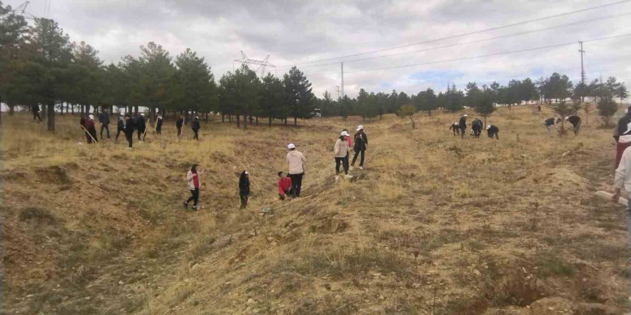 Büyükşehir, Bünyan’da Öğrencilerle Bin Adet Ağaç Dikti