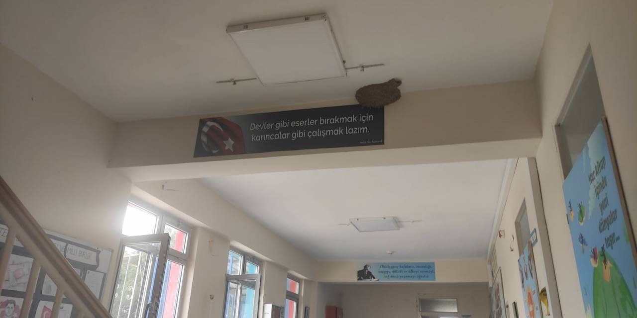 Okula Yuva Yapan Kırlangıçların Göç Etmesi Üzdü