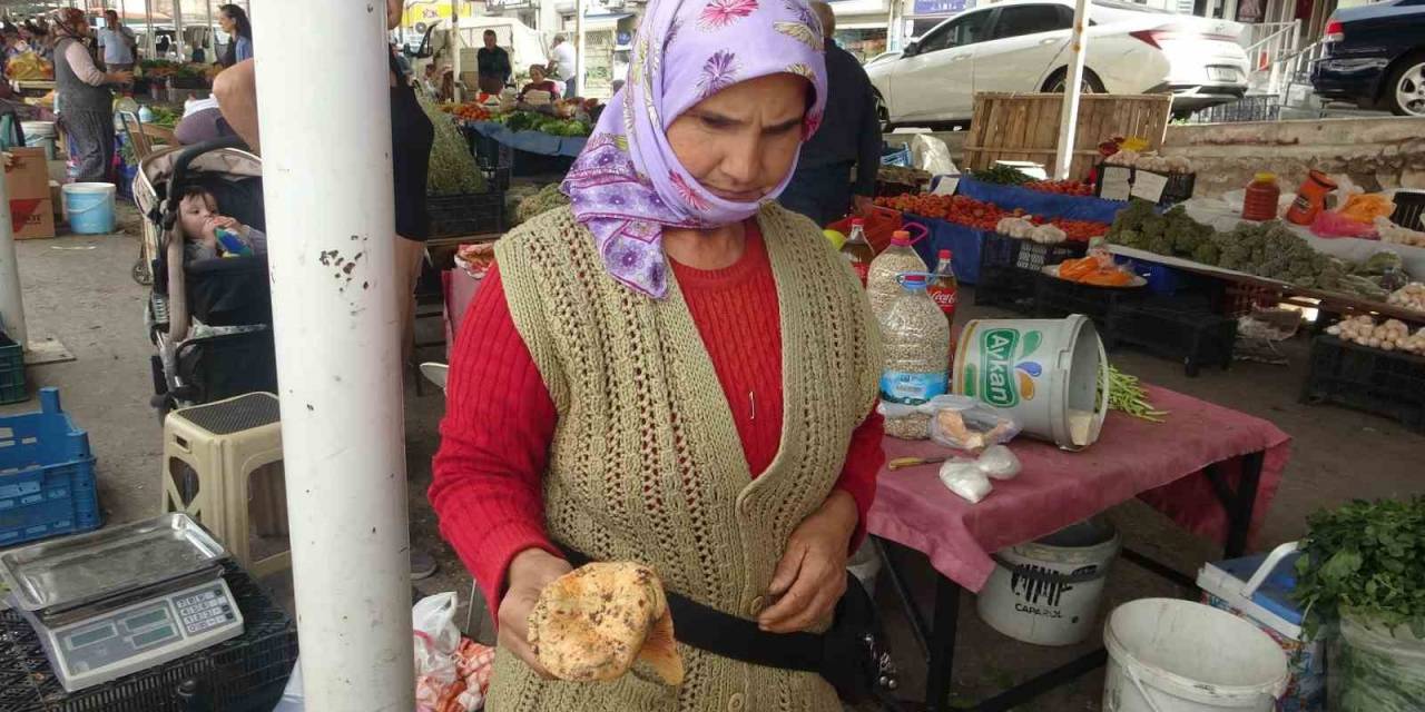 Çıntarlar Pazar Tezgahlarında Yerini Aldı