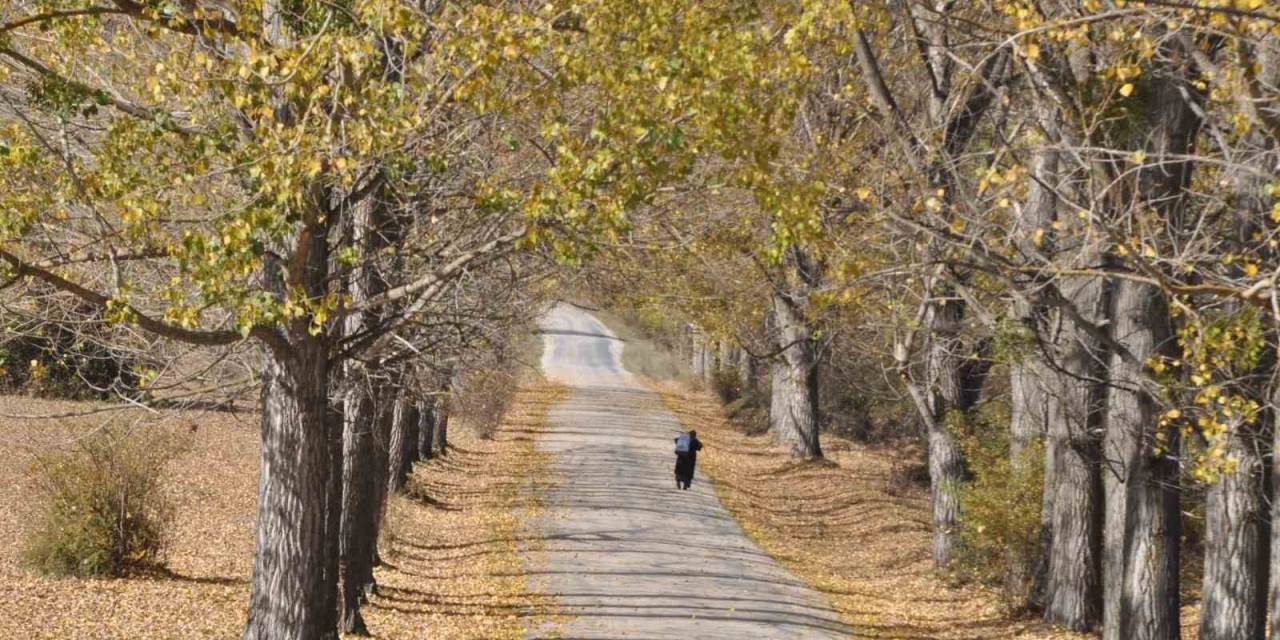 Bolu’dan Sonbahar Manzaraları