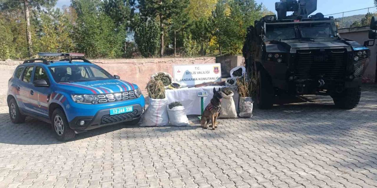 Bitlis’te 28 Kilo 560 Gram Kubar Esrar Ve 2 Kilo 380 Gram Esrar Tohumu Ele Geçirildi