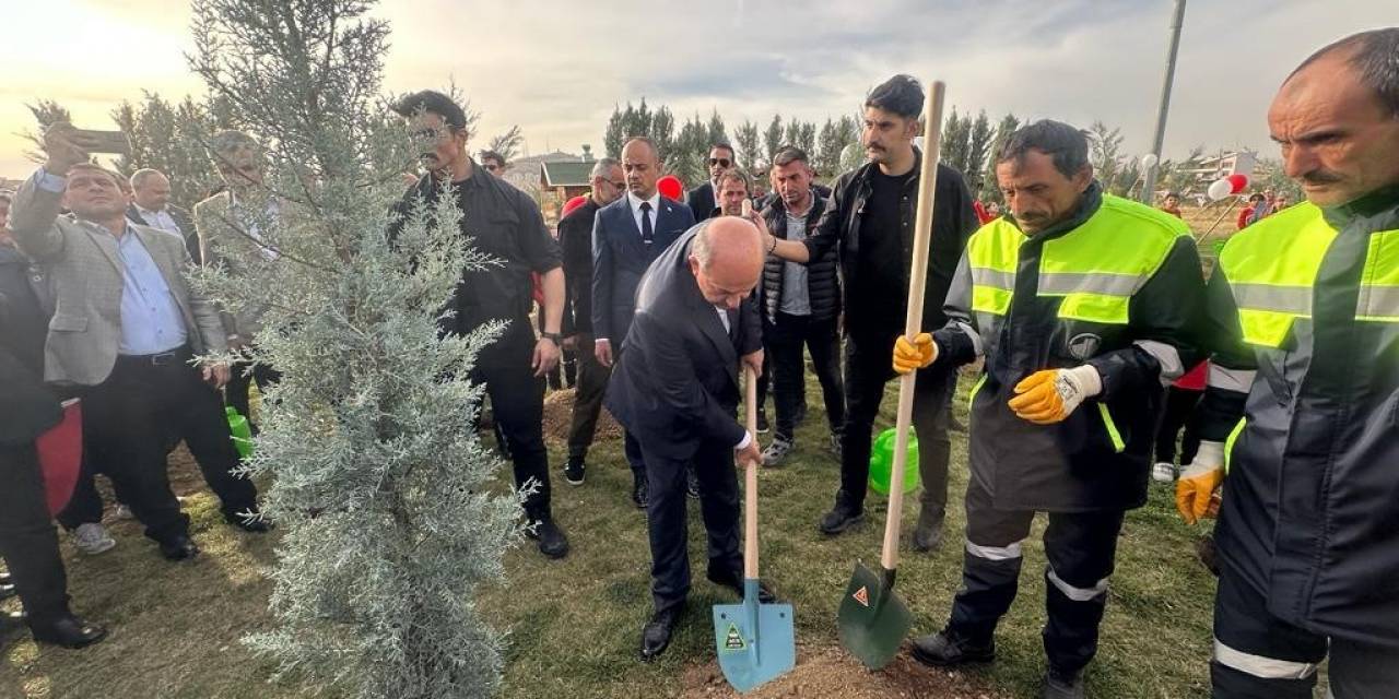 6 Şubat Depremlerinde Hayatını Kaybeden Kktc Vatandaşları Anısına Fidanlar Dikildi