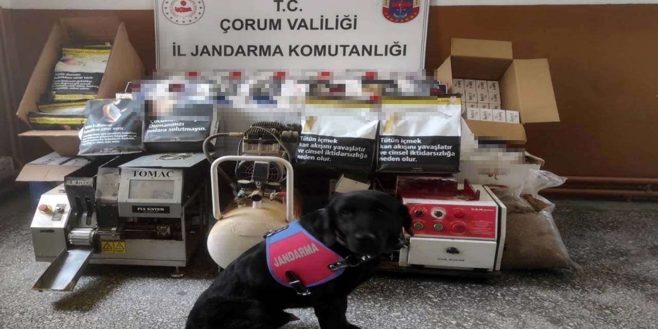 Çorum’da Kaçak Sigara Operasyonu