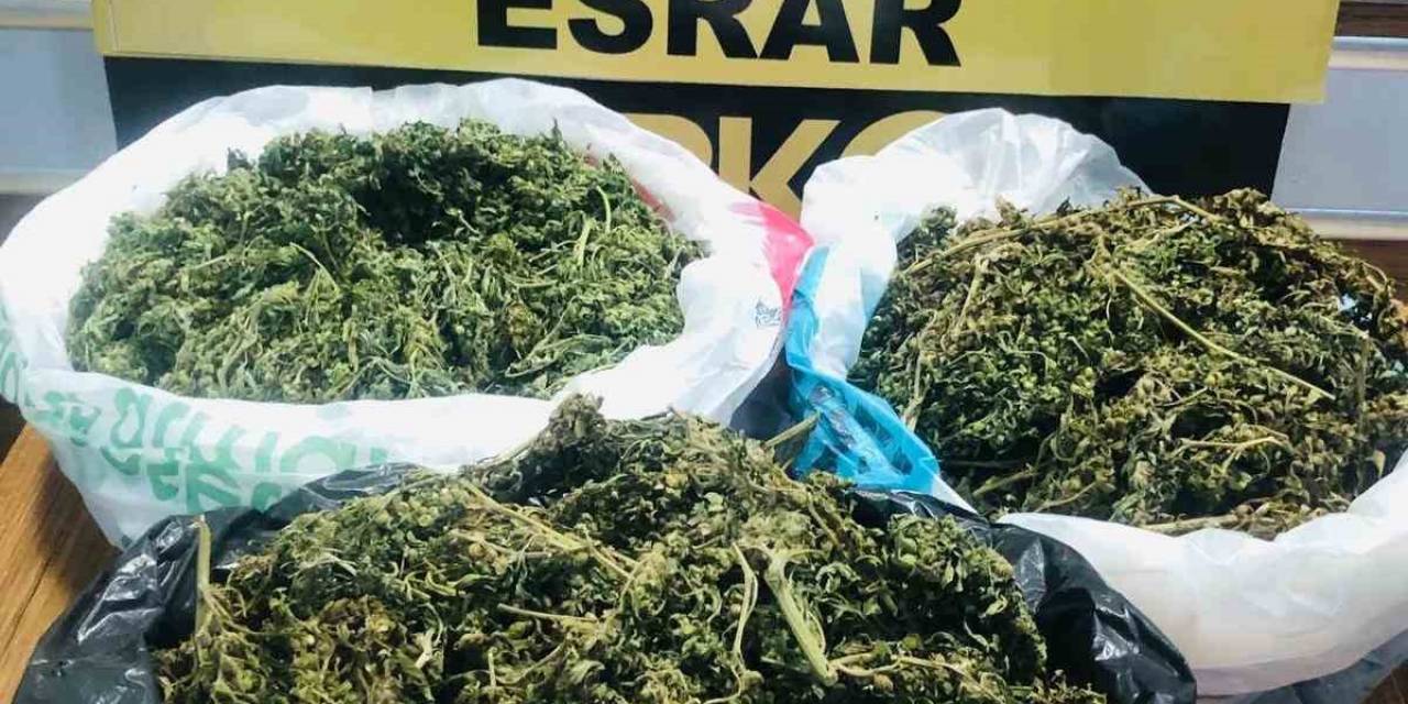 Polis İkna Etti, 888 Gram Esrar Ele Geçirdi