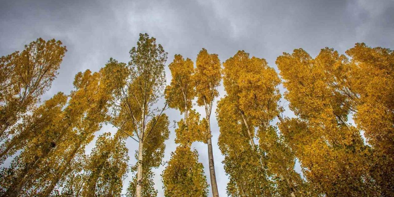 Erzincan’da Hazan Mevsimi Güzelliği