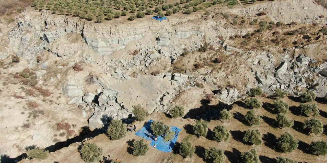 Fay Hattının Ortadan İkiye Ayırdığı Bahçede Tedirgin Eden Hasat Başladı