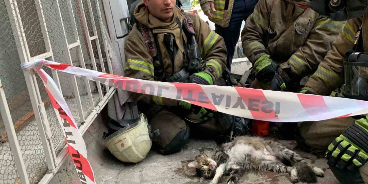Şişli’de Yangında Mahsur Kalan Kedi İtfaiye Ekiplerince Kurtarıldı