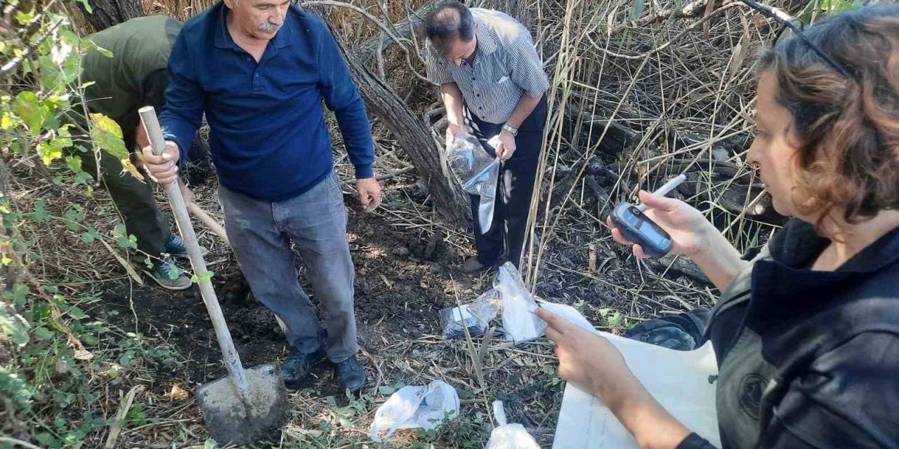 Aydın’da Yaban Hayvanı Alanı İncelendi