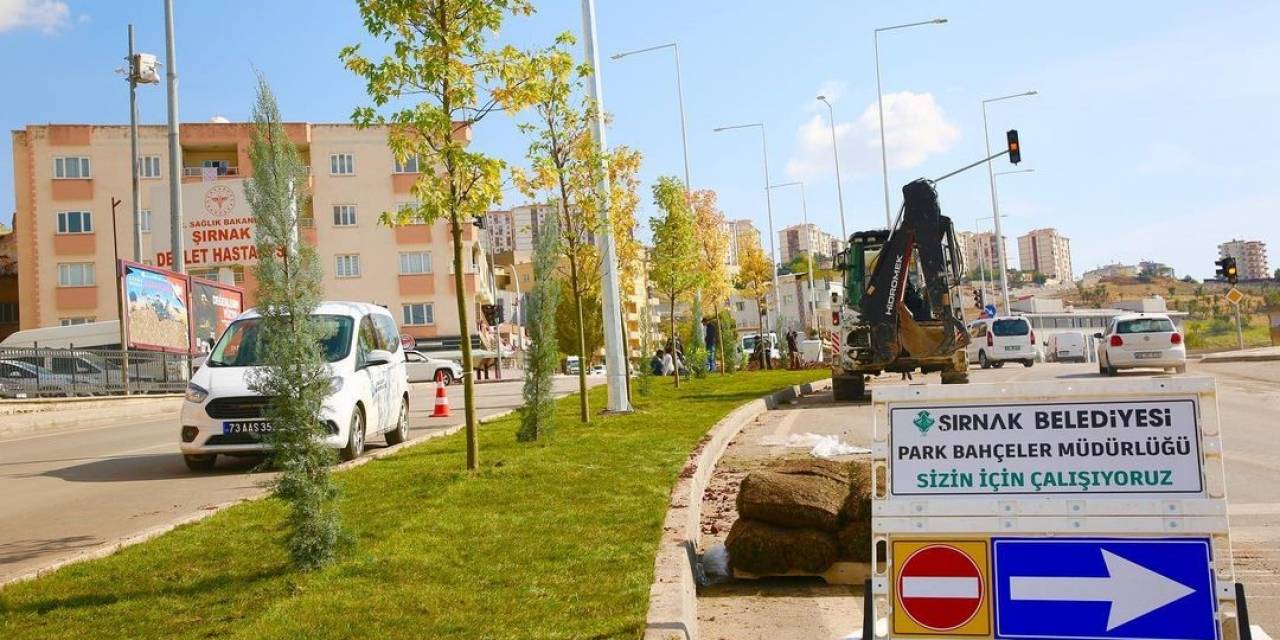 Şırnak Belediyesi Yeşillendirme Çalışmaları Başlattı