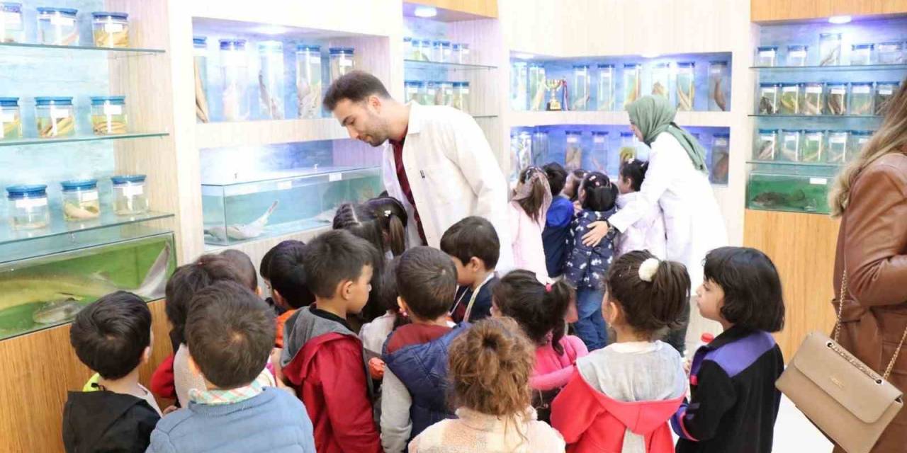 Elazığ’da Öğrenciler Balık Müzesini Gezdi