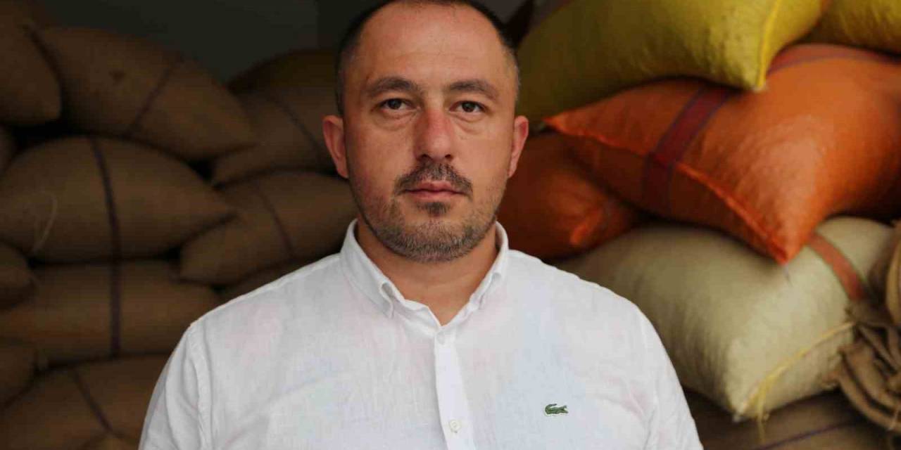 Giresun’da Fındık Fiyatları Stabil Hale Gelmeye Başladı