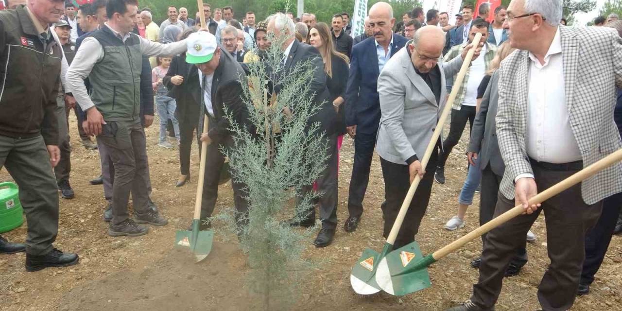 Muğla’da 100. Yılda 100 Fidan Dikildi