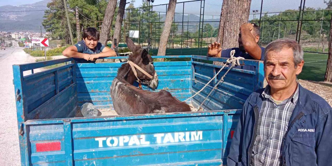 ’karakaçan’ın Patpat Römorkundaki Veteriner Yolculuğu Yürekleri Isıttı