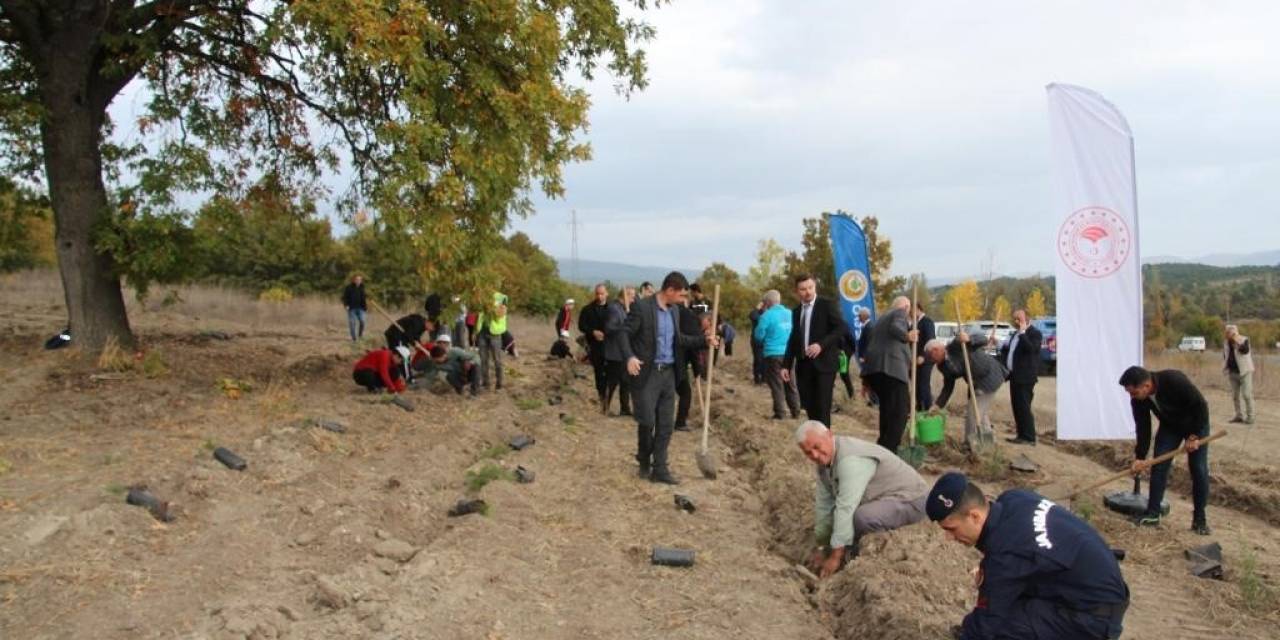 Domaniç’te Fidan Dikim Etkinliği