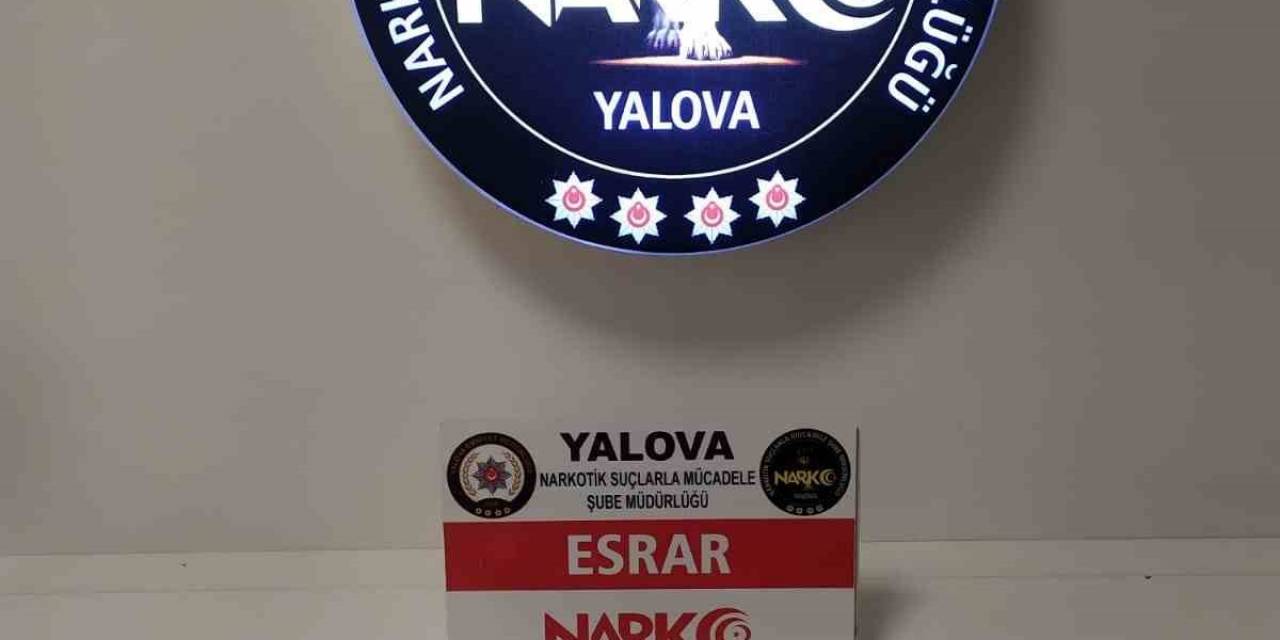 Yalova’da Uyuşturucu Operasyonu: 1 Tutuklama