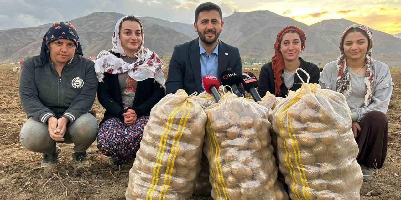 Yüksekova’nın Toprağından Bereket Fışkırıyor: Ton Ton Patates Elde Edildi